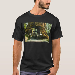 Großer Baum Wawona, Mariposa Grove, CA Vintage T-Shirt