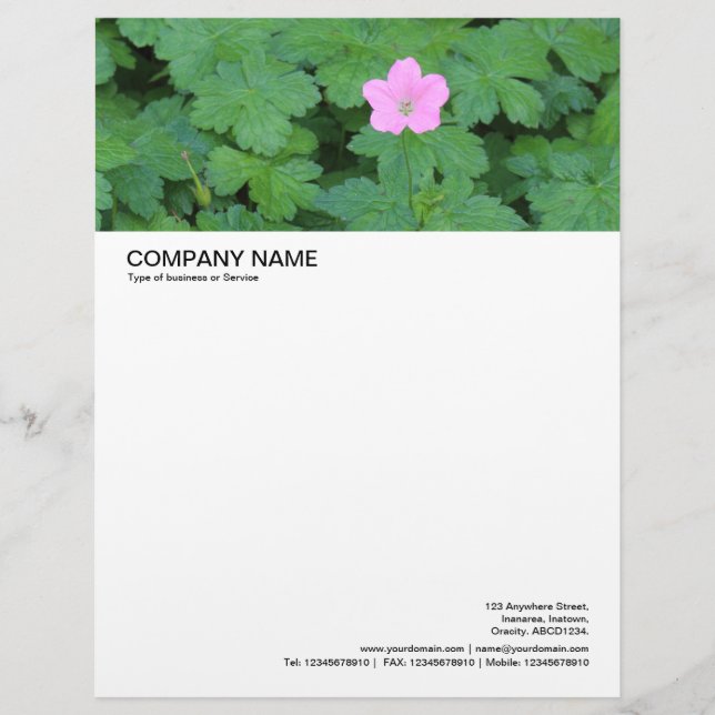 Großer Bildkopf - Single Geranium Briefkopf (Vorderseite)