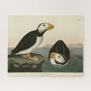 Großer billiger Puffin - Audubons Vögel in Amerika Puzzle