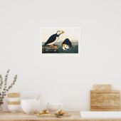 Großer, billiger Puffin von Audubon Poster (Küche)