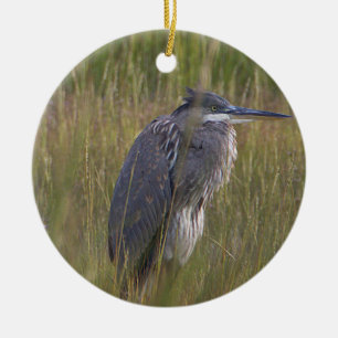 Großer Blau Reiher Vogel Ornament