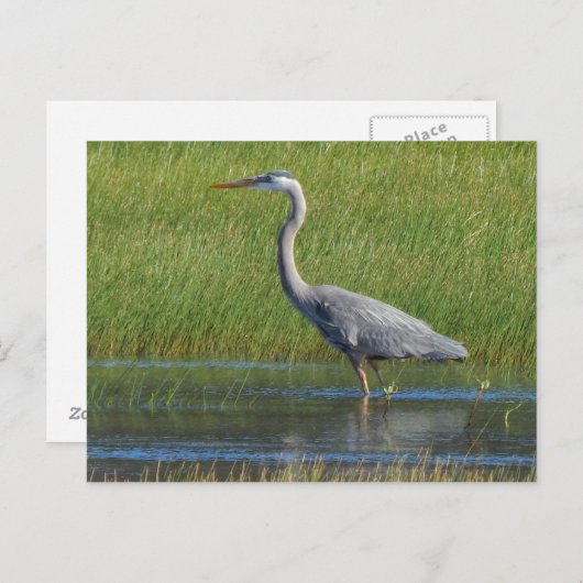 großer blauer Held Postkarte (Vorne/Hinten)