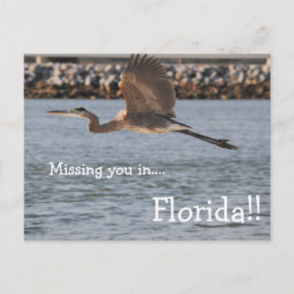 Großer Blauer Heron im Flug Postkarte