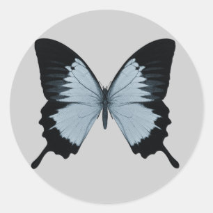 Großer blauer und schwarzer Schmetterling Runder Aufkleber