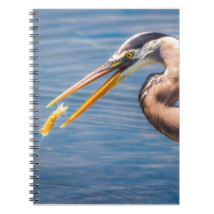 Großer Blaureiher jagt Beute Wildlife-Kunstprint Notizblock