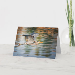 Großer Blaureiher-Vogel Blanko-Karte für jeden Anl Feiertagskarte