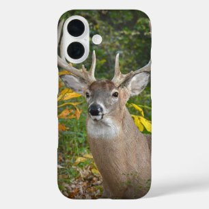 Großer Bock im Wald iPhone 16 Hülle