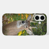 Großer Bock im Wald Case-Mate iPhone Hülle (Rückseite (Horizontal))