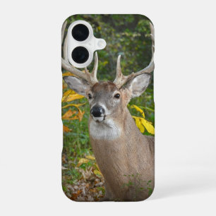 Großer Bock im Wald iPhone 16 Hülle