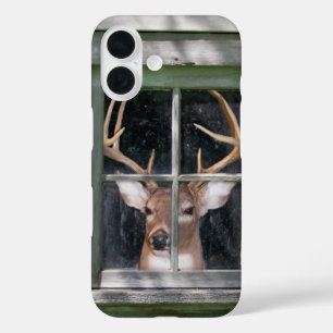 großer Bock in rustikalem Fenster iPhone 16 Hülle