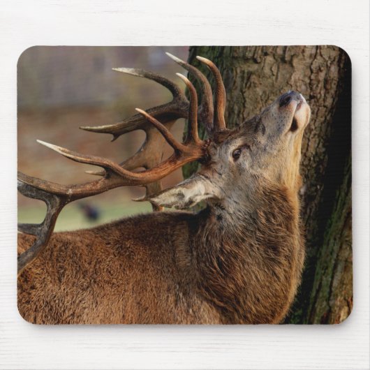 Großer Bock Mousepad (Vorne)