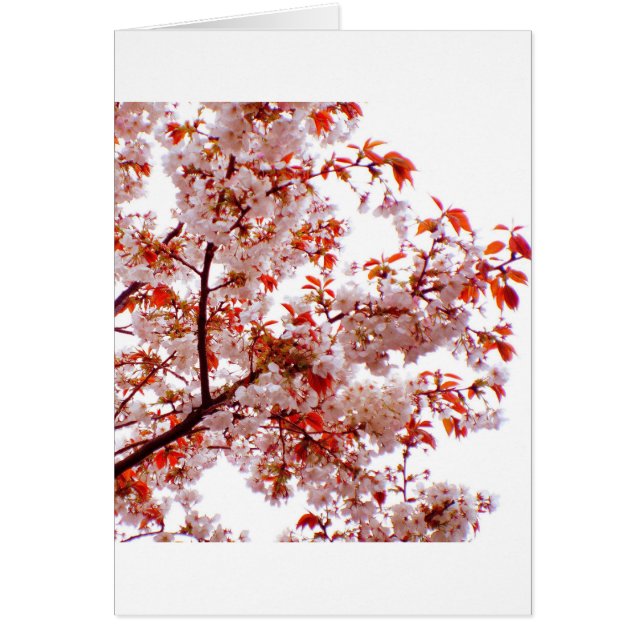 GROSSER BOUQUET VON BLUMEN (Vorne)