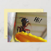 Großer Carpenter Ant Wave Hallo Postkarte (Vorne/Hinten)