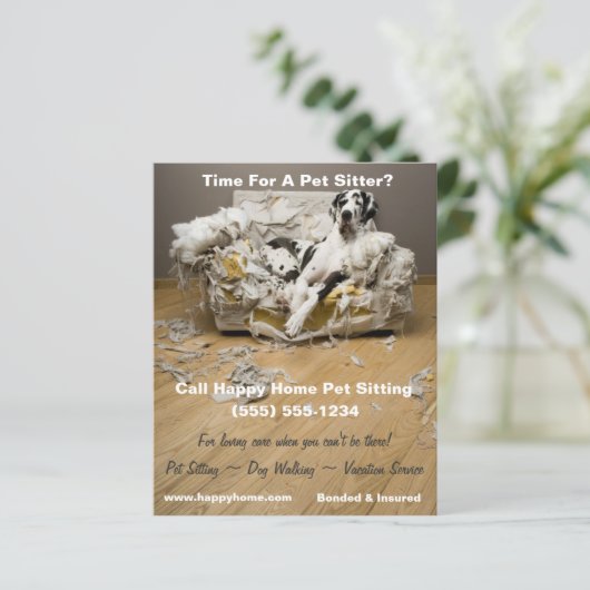 Großer Dan auf Kauen Sofa Haustier Sitzen Flyer 4x (Stehend Vorderseite)