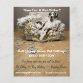 Großer Dan auf Kauen Sofa Haustier Sitzen Flyer 4x (Vorderseite)