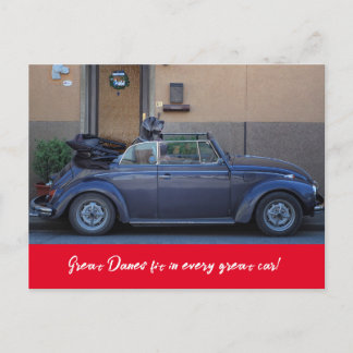 Großer Dan passt in einen Käfer Postkarte