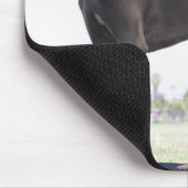 Großer Dan und kleiner Mischhund Mousepad (Ecke)