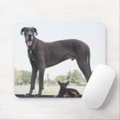Großer Dan und kleiner Mischhund Mousepad (Mit Mouse)