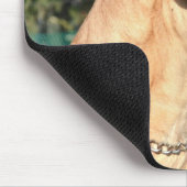 Großer Däne-Foto-Mausunterlage Mousepad (Ecke)