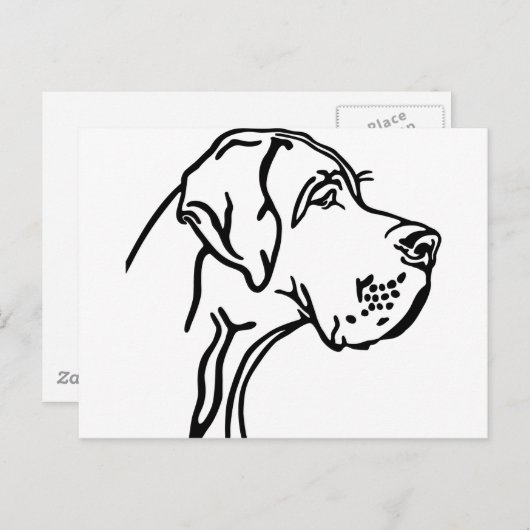 Großer Dane Head zeichnend Postkarte (Vorne/Hinten)