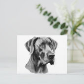 Großer Dane Head zeichnend Postkarte (Stehend Vorderseite)