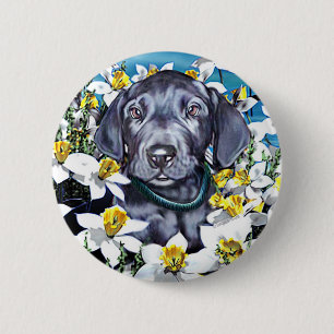 Großer Dane-Jungtier in Daffodin Blau Button