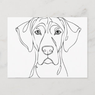 Großer Däne Kopfzeichnung II Postkarte