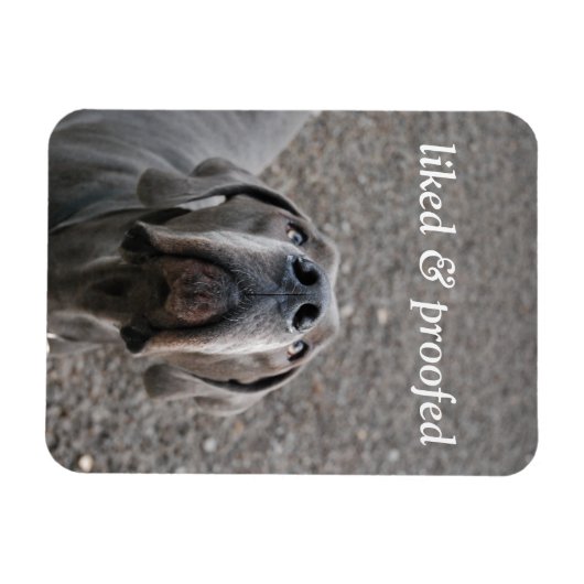 Großer Däne-Magnet Magnet (Horizontal)