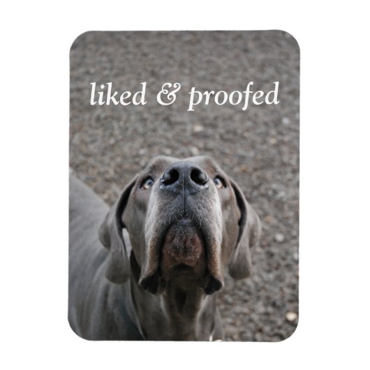 Großer Däne-Magnet Magnet (Vertikal)