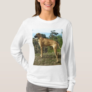 Großer Däne-Shirt T-Shirt