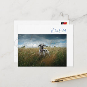Großer Däne Spaziergang-Einladung Postkarte