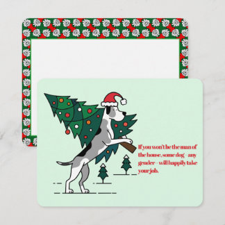 Großer Däne Weihnachten Wahre Fakten über die Pfli
