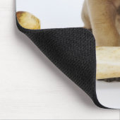 Großer Dane Welpe mit Knochen im Studio Mousepad (Ecke)