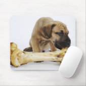 Großer Dane Welpe mit Knochen im Studio Mousepad (Mit Mouse)