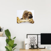 Großer Dane Welpe mit Knochen im Studio Poster (Heimbüro)