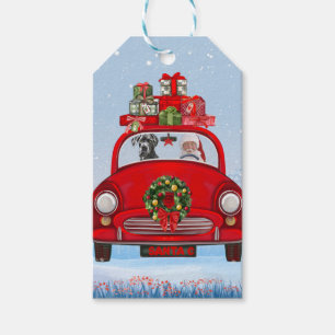 Großer Dänen-Hund in Auto mit dem Weihnachtsmann Geschenkanhänger