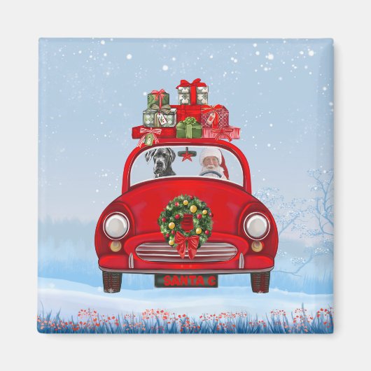 Großer Dänen-Hund in Auto mit dem Weihnachtsmann Magnet (Vorne)