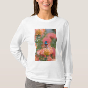Großer Doppelkragen-Nektarvogel T-Shirt