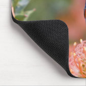 Grosser, doppelt gefärbter Sunbird Mousepad (Ecke)