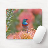 Grosser, doppelt gefärbter Sunbird Mousepad (Mit Mouse)