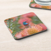 Grosser, doppelt gefärbter Sunbird Untersetzer (Linke Seite)