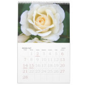 Großer Druckkalender 2016 Rose Single Kalender (Feb 2027)