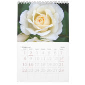 Großer Druckkalender 2016 Rose Single Kalender (Feb 2026)