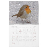 Großer Druckkalender 2023 - Vögel Kalender (Feb 2027)