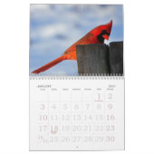 Großer Druckkalender 2023 - Vögel Kalender (Jan 2027)