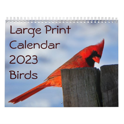 Großer Druckkalender 2023 - Vögel Kalender (Titelbild)