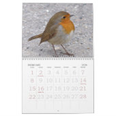 Großer Druckkalender 2023 - Vögel Kalender (Feb 2026)