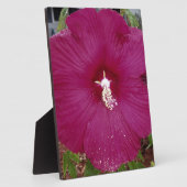 großer dunkelroter Hibiskus Fotoplatte (Seite)