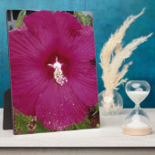 großer dunkelroter Hibiskus Fotoplatte (Seite)