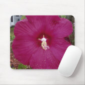großer dunkelroter Hibiskus Mousepad (Mit Mouse)